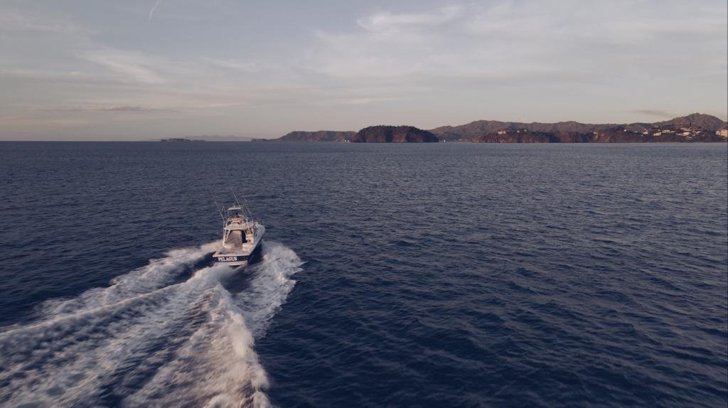 
								Apex Yachts Quepos 350 2018 full									