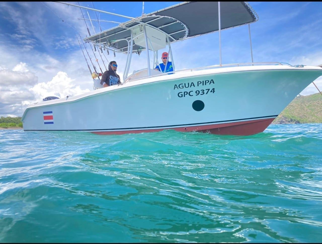 Sea Hunt 22 2006