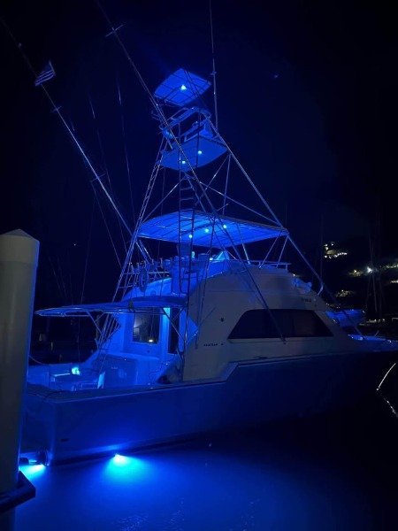 1989 foot Bertram 50 Convertible usd 1230