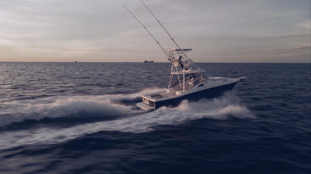 Apex Yachts Quepos 350 2018