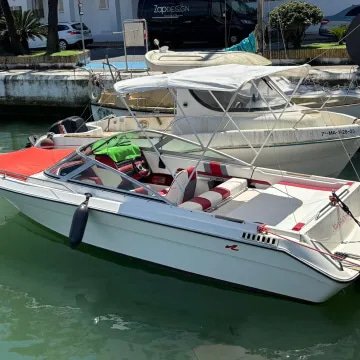 1999 21 feet Sea Ray 210 Bowrider